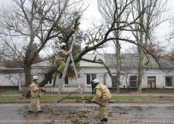 Ураган в Николаеве бушевал всю ночь и почти весь день