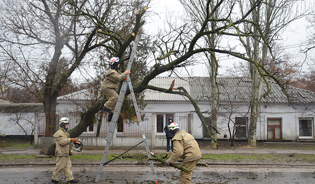 Ураган в Николаеве бушевал всю ночь и почти весь день