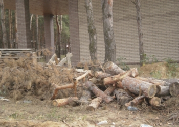 Корабельный суд отменил очередное решение Николаевского горсовета по “Маяку”