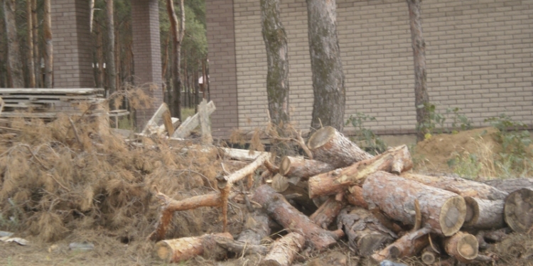 Корабельный суд отменил очередное решение Николаевского горсовета по “Маяку”