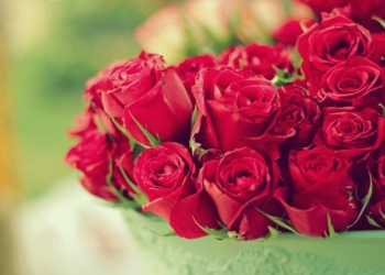 Храбрым жительницам Южноукраинска, задержавшим насильника, – слова благодарности и цветы