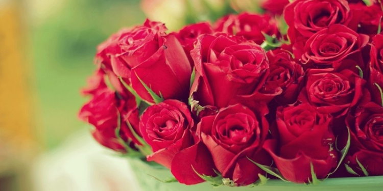 Храбрым жительницам Южноукраинска, задержавшим насильника, – слова благодарности и цветы