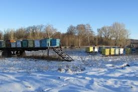 В Вознесенском районе на пожаре сгорели пчелы