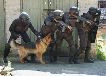 Николаевские кинологи будут готовить собак в помощь бойцам АТО