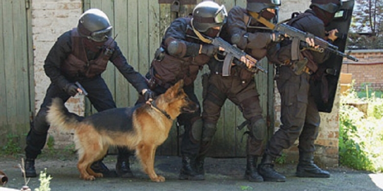 Николаевские кинологи будут готовить собак в помощь бойцам АТО