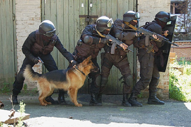 Николаевские кинологи будут готовить собак в помощь бойцам АТО 1