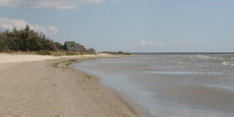 Если с 2008 года не построили, то уже точно не построят: прокуратура требует вернуть 1 га в Рыбаковке, выделенный под строительство базы отдыха