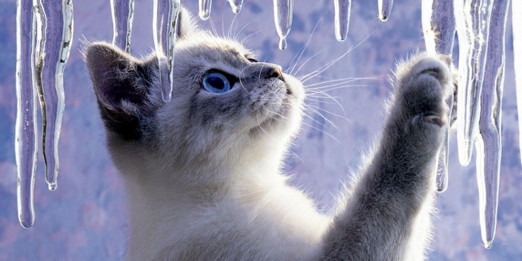 SOSульки! Николаевцы, если вас они беспокоят, то вот телефон, куда обращаться