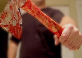 Дозаготавливались дров: психически неуравновешенный николаевец зарубил своего друга топором