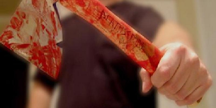 Дозаготавливались дров: психически неуравновешенный николаевец зарубил своего друга топором