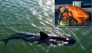 “Бесшумный Немо”: в США военные успешно испытали робота-рыбу