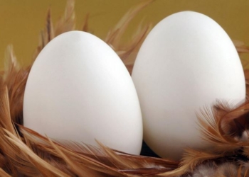 Украина отрезала турецким яйцам путь в Россию