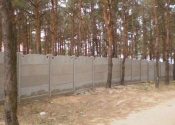 Общине Николаева возращено уже пять незаконно отведенных участков общей площадью 13 квадратных километров