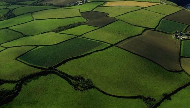 На Николаевщине отдел спорта Врадиевской РГА сдавал в аренду 21 га не своей земли