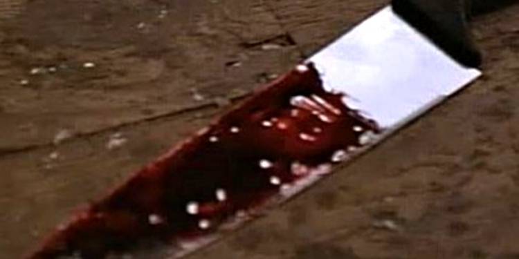 И снова поножовщина: В Вознесенске молодая женщина зарезала своего сожителя