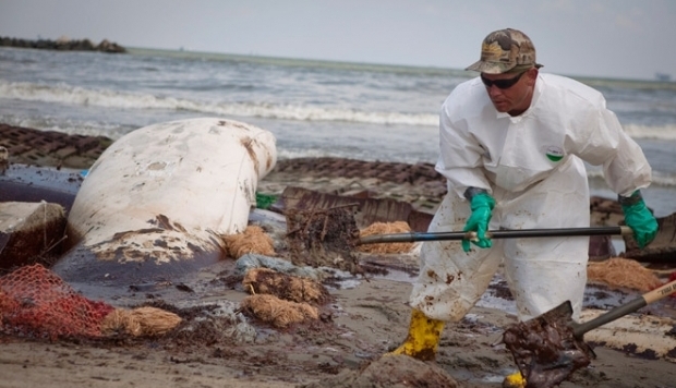 По $4,3 тысячи за баррель: штраф BP за разлив нефти в Мексиканском заливе составит $13,7 млрд