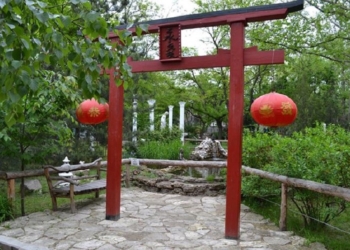 Один на двоих: Николаевский зоопарк для влюбленных и Валентинов и Валентин приготовил подарки