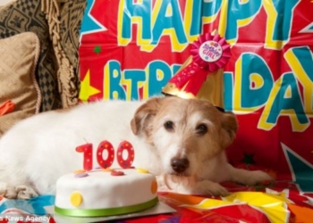 В николаевском полку столетних – пополнение