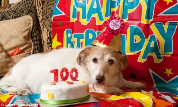 В николаевском полку столетних – пополнение