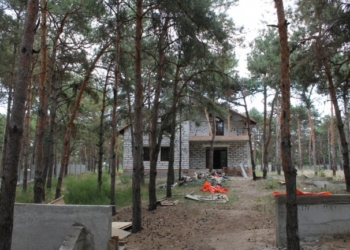 Общественники потребовали от жены депутата Николаевского горсовета не затягивать резонансное дело по «Маяку»