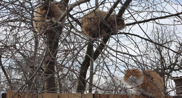 Завтра в Украине будет тепло и солнечно