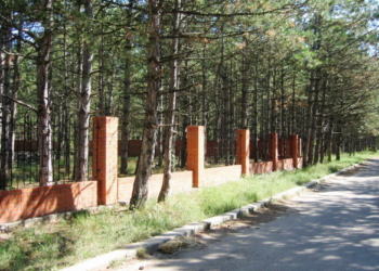 Дом отдыха в Коблевском лесу построен не будет