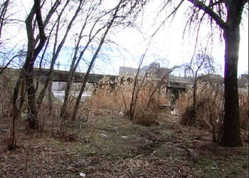 Две недели николаевский насильник скрывался от милиции