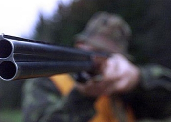 Браконьерить стали меньше? В Николаевской области задержали всего 5 нарушителей правил охоты