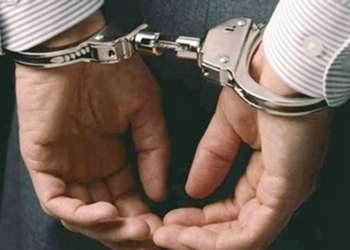 На Николаевщине взяли под стражу похитителя металлолома и автозапчастей