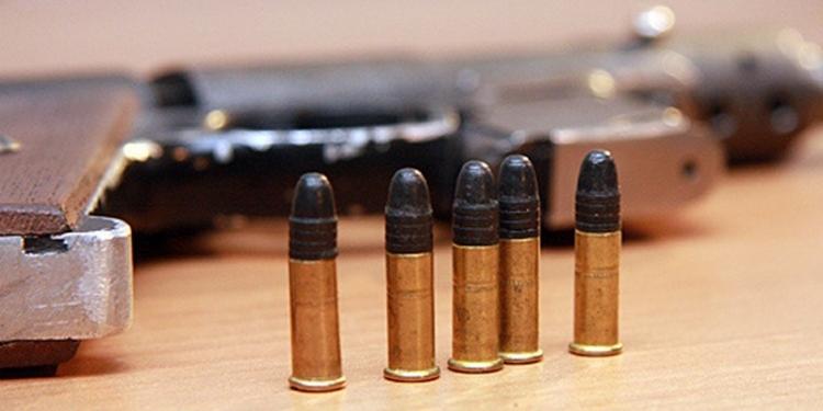 «Я – маленькая лошадка»: в автомобиле жителя Корабельного района нашли немножко патронов калибра 5,6