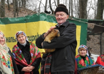 Сурок Тимка: зима будет затяжной