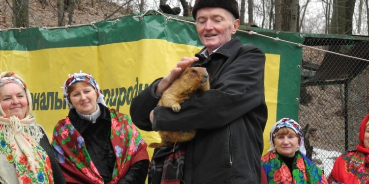 Сурок Тимка: зима будет затяжной