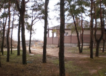 Общественники угрожают николаевскому нотариусу пикетами за затягивание дела по «Маяку»