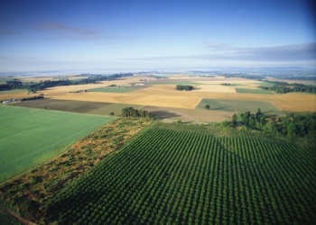Земля для участников АТО. Кому, сколько и для чего выделено в Николаевской области