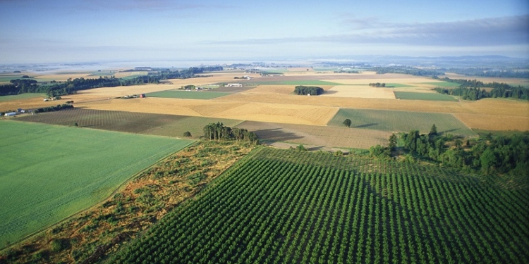 Земля для участников АТО. Кому, сколько и для чего выделено в Николаевской области