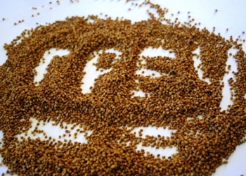 Николаевские антимонопольщики предупредили 16 субъектов хозяйствования на рынках, чтобы цены не повышали