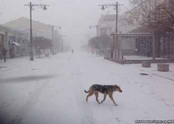 С наступающим! На весенний Симферополь обрушился снегопад