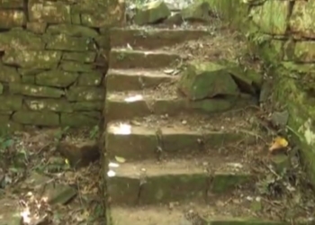 В джунглях Аргентины обнаружили убежище немецких нацистов