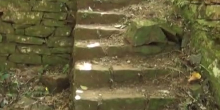 В джунглях Аргентины обнаружили убежище немецких нацистов