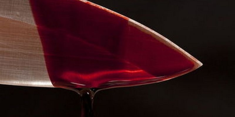 Двойное убийство в Херсоне: неизвестный жестоко зарезал женщину и ее несовершеннолетнего сына