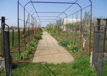 Вы давно были на даче? Воры не дремлют, выносят все