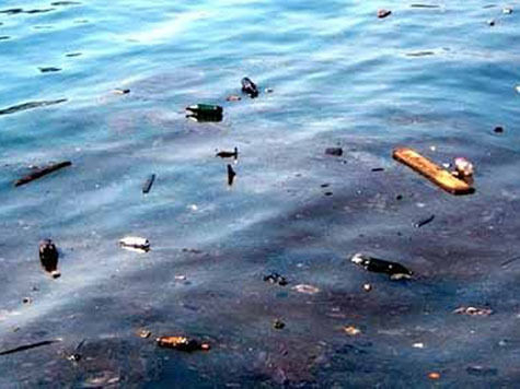 В Украине создадут экологическую полицию