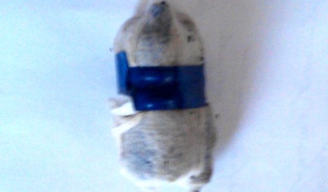 У заключенного Казанковской колонии нашли странный предмет