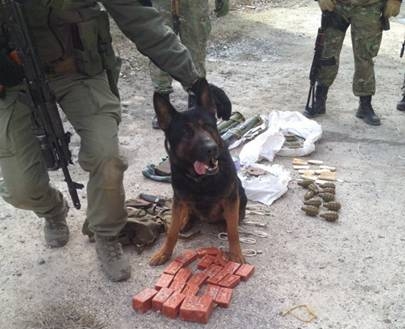 СБУ обезвредила тайник террористов с шестью килограммами тротила