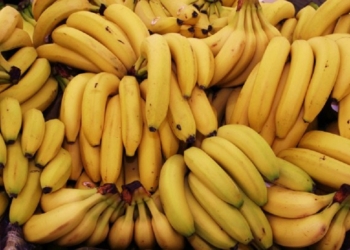 Будем банановой республикой? Таможенные платежи в Николаевской области увеличились за счет бананов и цитрусовых