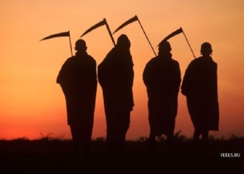 Не Ясь, и не конюшину: в Доманевке глава РГА и начальник райотдела организовали сбор 111 тонн чужой озимой пшеницы