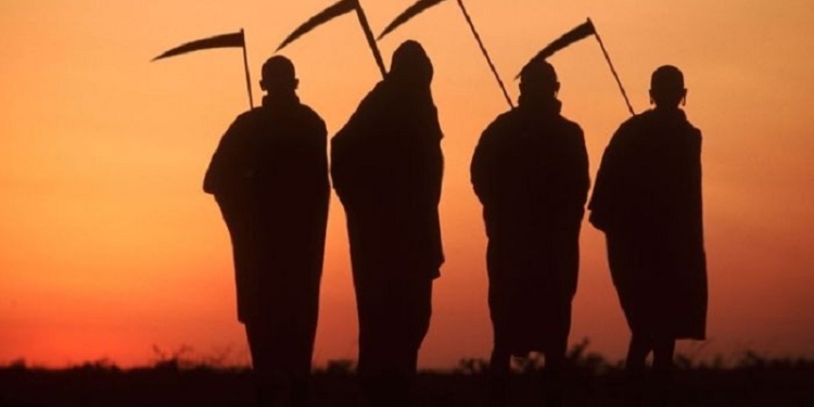 Не Ясь, и не конюшину: в Доманевке глава РГА и начальник райотдела организовали сбор 111 тонн чужой озимой пшеницы