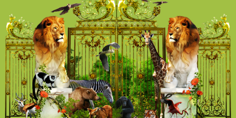 Только для взрослых. Николаевский зоопарк повышает стоимость входных билетов