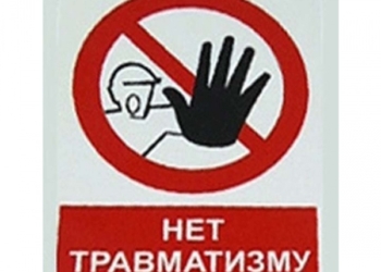 За игнорирование правил безопасности при обрезке деревьев главному инженеру Первомайского водоканала грозит срок до 8 лет тюрьмы