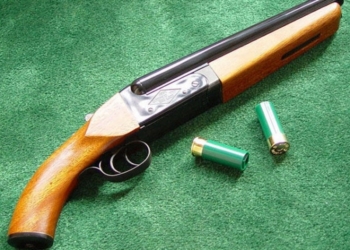 «С помощью кольта и доброго слова»: дело банды, грабившей жителей Николаевской области, направлено в суд